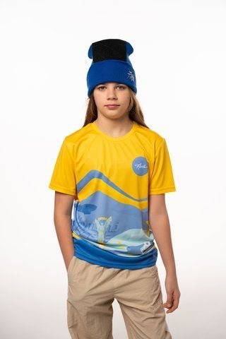 Flava Spin T-Shirt Homeland Yellow (спін футболка) 92766034 фото